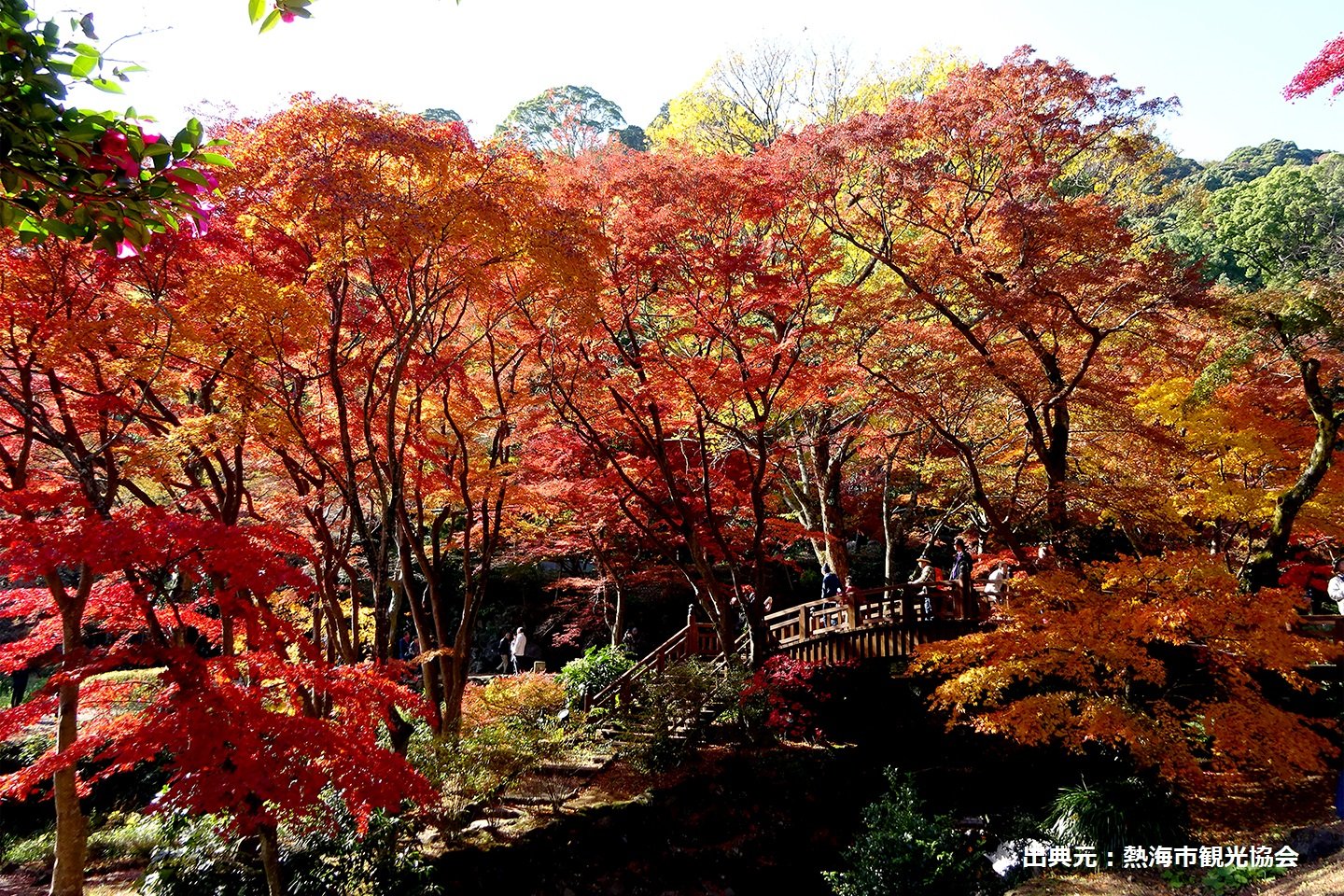 🌸 아타미 매화원 (아타미 바이엔) 이미지 11